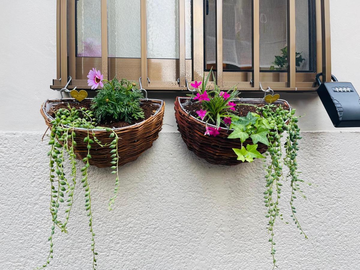 אוסקה Namba Shinsaibashi 10 Mins Reiko Guest House מראה חיצוני תמונה